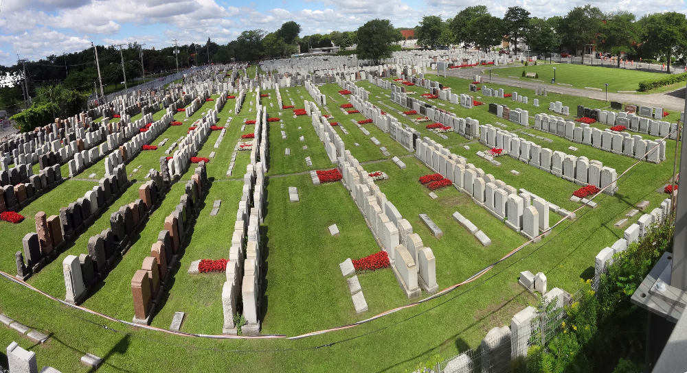 Overview of the south half of the cemetery, showing dozens of rows with hundreds of gravestones, perhaps 10% of which have bright red flower beds